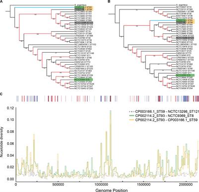 Global Scale Dissemination of ST93: A Divergent Staphylococcus aureus Epidemic Lineage That Has Recently Emerged From Remote Northern Australia